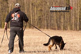 History of Advanced K9 Training and 